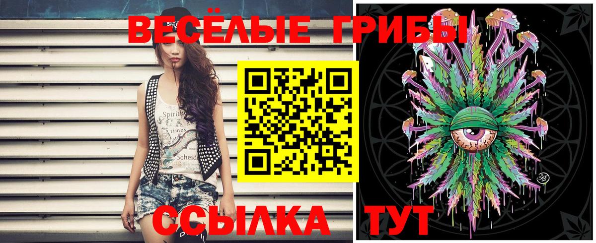 Галлюциногенные грибы GOLDEN TEACHER  Галлюциногенные грибы прущие грибы  Новотроицк  Вход с VPN 